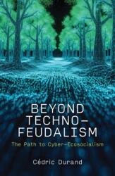 Beyond Technofeudalism (ISBN: 9781509572915)