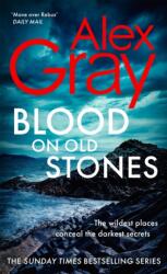 Blood on Old Stones (ISBN: 9781408721889)