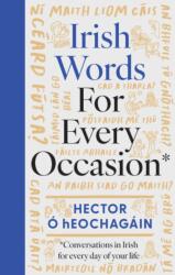 Irish Words for Every Occasion (ISBN: 9781804585702)