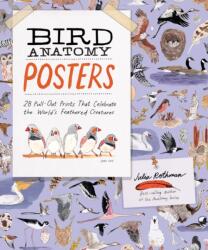 Bird Anatomy Posters (ISBN: 9798897080748)
