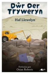 Dwr Oer Tryweryn (ISBN: 9781800998261)