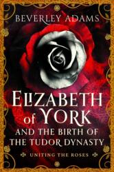 Elizabeth of York and the Birth of the Tudor Dynasty (ISBN: 9781399044165)