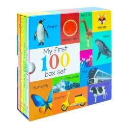 My First 100 Words Box Set 4 Board Books Collection Set (ISBN: 9781804458129)