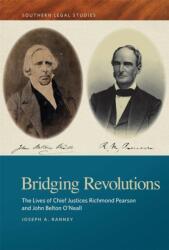Bridging Revolutions (ISBN: 9780820369822)