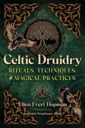 Celtic Druidry (ISBN: 9781644118603)
