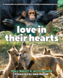 Love in Their Hearts - Marc Bekoff, Jeff Campbell (ISBN: 9781968919306)