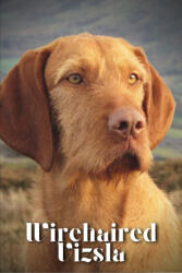 Wirehaired Vizsla - Nina Pustova (2023)