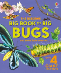 Big Book of Big Bugs - Fabiano Fiorin (ISBN: 9781836050346)