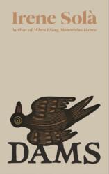 Dams (ISBN: 9781803511412)