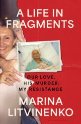 Life in Fragments (ISBN: 9781526696373)
