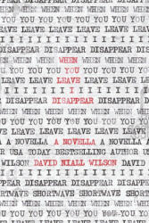 When You Leave I Disappear - David Niall Wilson (ISBN: 9781959565383)