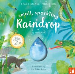 Small, Sparkling Raindrop (ISBN: 9781916780224)