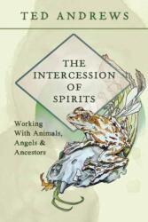 The Intercession of Spirits (ISBN: 9780738783574)