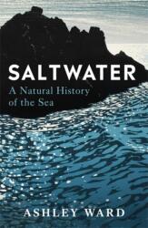 Saltwater (ISBN: 9781786582973)