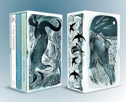 Angela Harding Box Set (ISBN: 9781408738627)