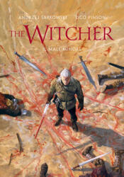 male minore. The Witcher - Andrzej Sapkowski, Ugo Pinson (2022)