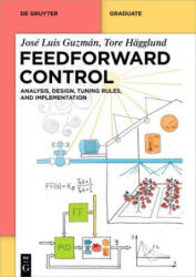 Feedforward Control - José Luis Guzmán, Tore Hägglund (2024)