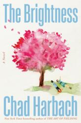 The Brightness (ISBN: 9780316614726)