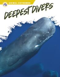 Deepest Divers (ISBN: 9781637385296)