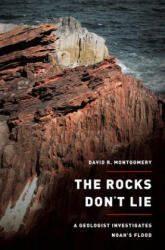 Rocks Don't Lie - David R Montgomery (ISBN: 9780393082395)