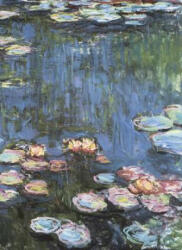 Monet Water Lilies Notebook (ISBN: 9780486413600)