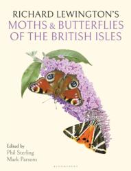 Richard Lewington's Moths & Butterflies of the British Isles (ISBN: 9781399424691)