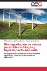 Biodegradacion de vinaza para obtener biogas y bajar impacto ambiental - Wilfrido Hernan Qui, Amado Camilo Molina (ISBN: 9783659078071)