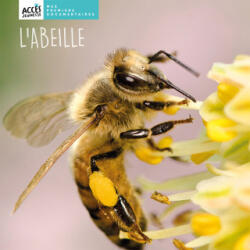 L'ABEILLE - SCHNEIDER (2023)