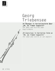 24 ÜBUNGEN IN VARIATIONSFORM ÜBER "OH, DU LIEBER AUGUSTIN" FÜR OB. UND VL (ISBN: 9786440232713)