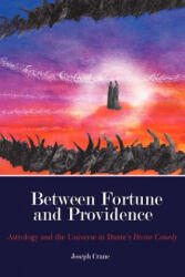 Between Fortune and Providence - Joseph Crane (ISBN: 9781902405759)