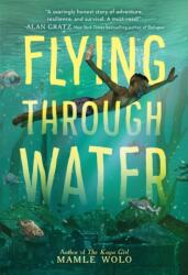 Flying Through Water (ISBN: 9780316703949)