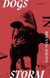 Dogs in a Storm (ISBN: 9781913830526)