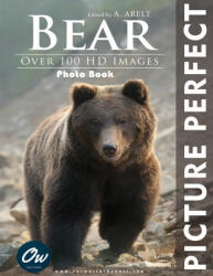 A Arelt, Our World - Bear - A Arelt, Our World (2024)