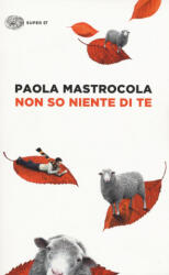 Non so niente di te - Paola Mastrocola (ISBN: 9788806231989)