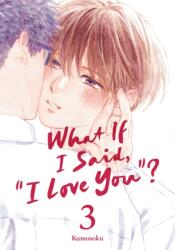 What If I Said, "I Love You"? 3 (ISBN: 9798888779170)