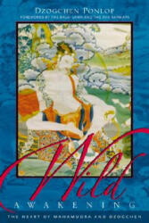 Wild Awakening - Rinpoche Dzogchen Ponlop, Dalai Lama, Karmapa (ISBN: 9781590300961)
