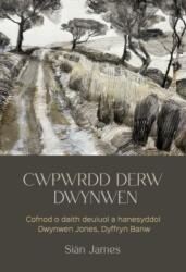 Cwpwrdd Derw Dwynwen (ISBN: 9781845248246)