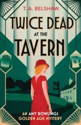 Twice Dead at the Tavern (ISBN: 9781807471125)