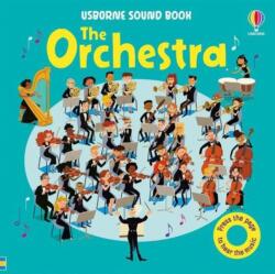 Orchestra (ISBN: 9781836053316)