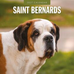 Saint Bernards - Bernhardiner 2027 - 16-Monatskalender (ISBN: 9781837012893)