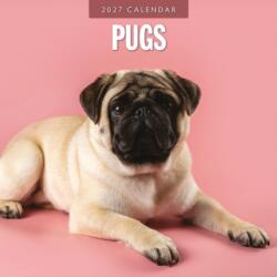 Pugs - Mops 2027 - 16-Monatskalender (ISBN: 9781837012848)