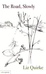 The Road, Slowly (ISBN: 9781912561124)