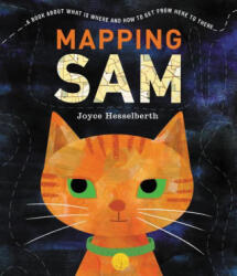 Mapping Sam - Joyce Hesselberth (2021)
