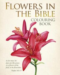 Flowers in the Bible Colouring Book (ISBN: 9781398872141)