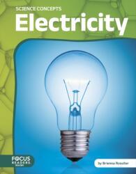 Electricity (ISBN: 9798889987819)