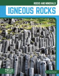 Igneous Rocks (ISBN: 9798889988380)