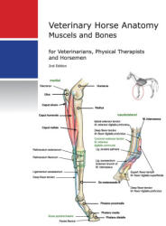 Horse Anatomy - Katja Gühring (ISBN: 9783941933965)