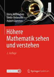 Höhere Mathematik sehen und verstehen - Dieter Riebesehl, Hubert Dammer (ISBN: 9783662692912)