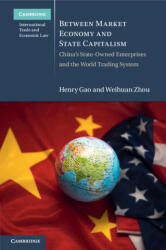 Between Market Economy and State Capitalism - Henry (2024)