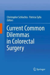 Current Common Dilemmas in Colorectal Surgery - Christopher Schlachta, Patricia Sylla (ISBN: 9783319701165)